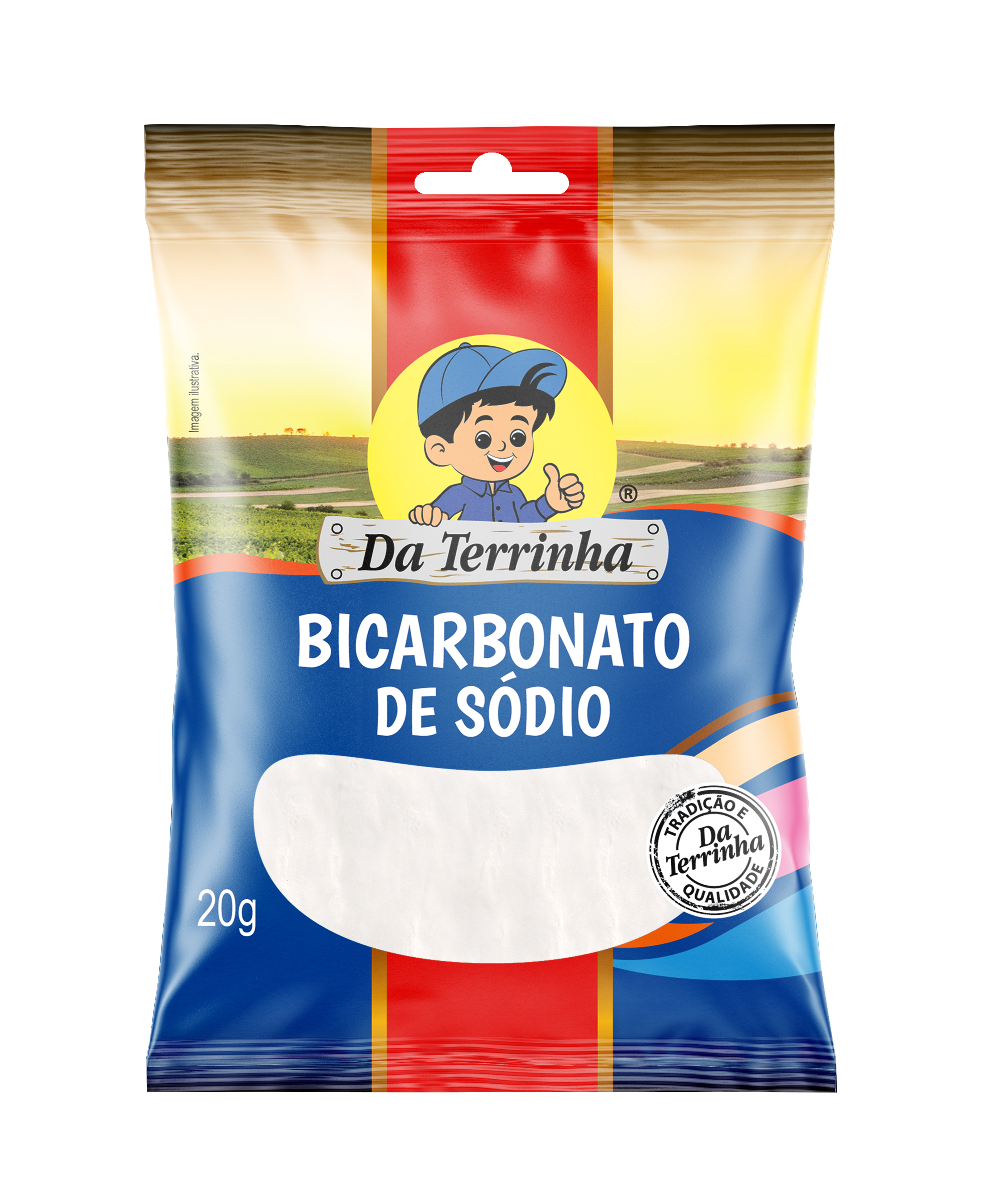 Bicarbonato De Sódio Da Terrinha 20 G - Cx 24