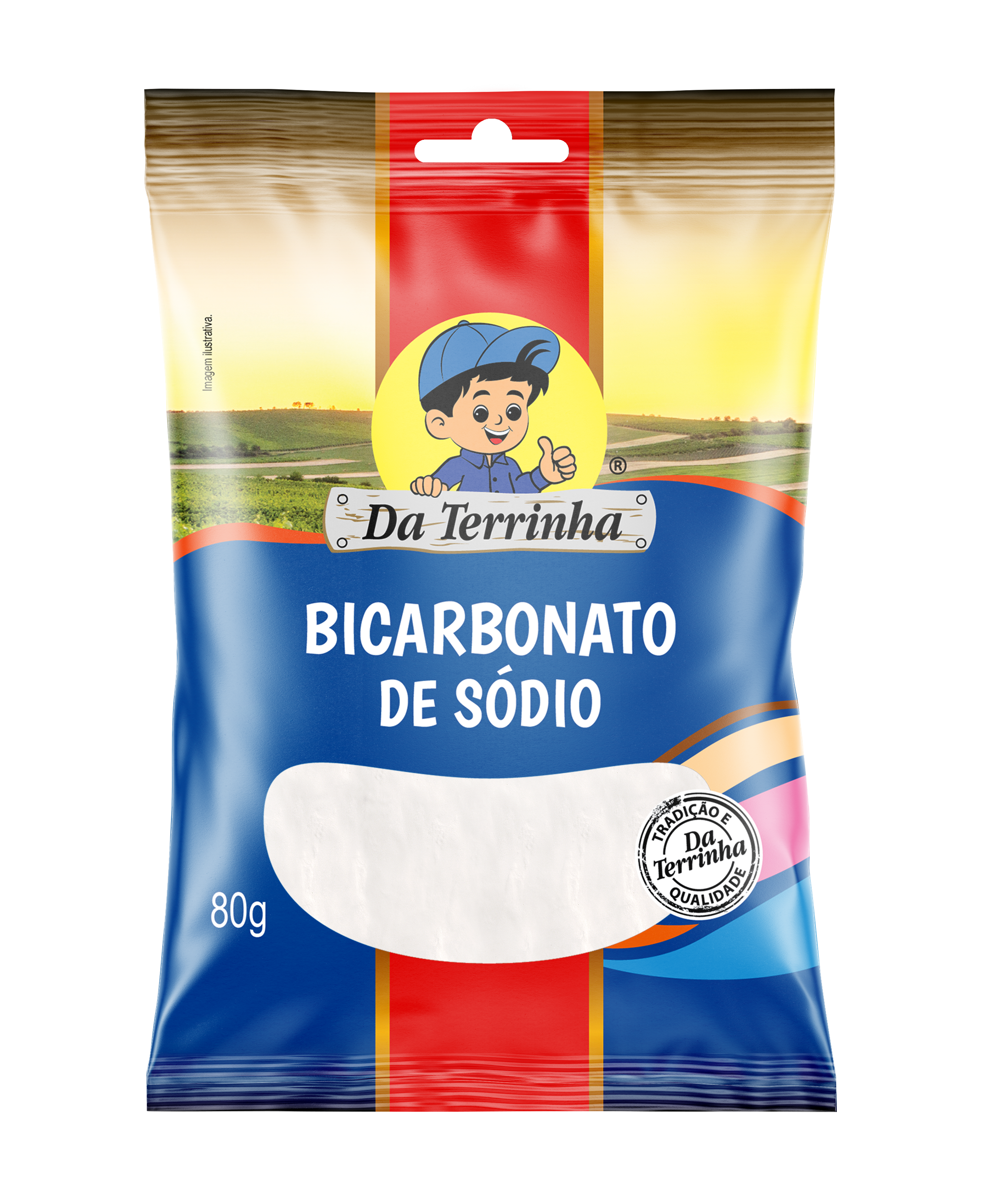 Bicarbonato De Sódio Da Terrinha 80 G - Cx 24