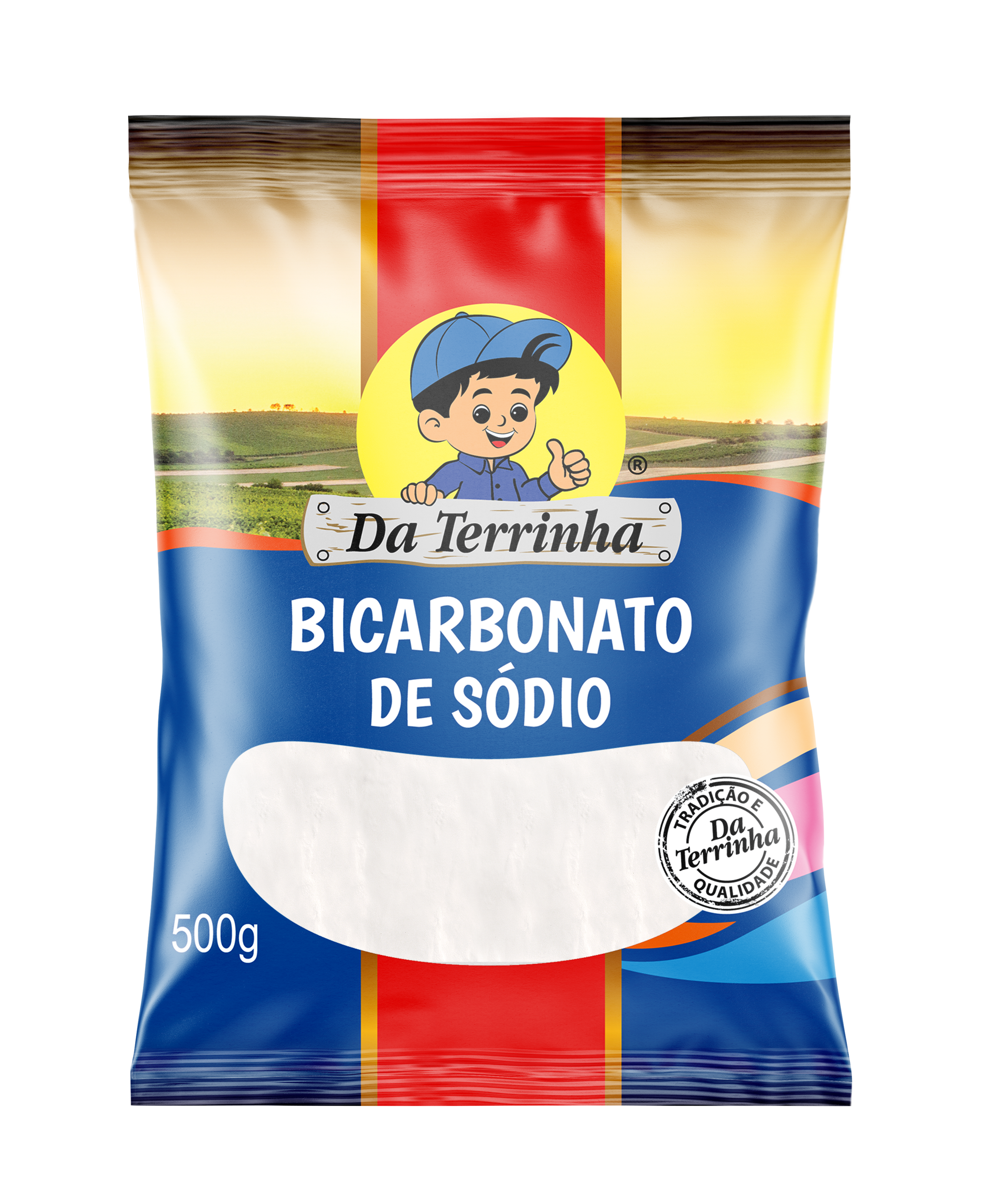 Bicarbonato De Sódio Da Terrinha 500 G - Cx 6.0