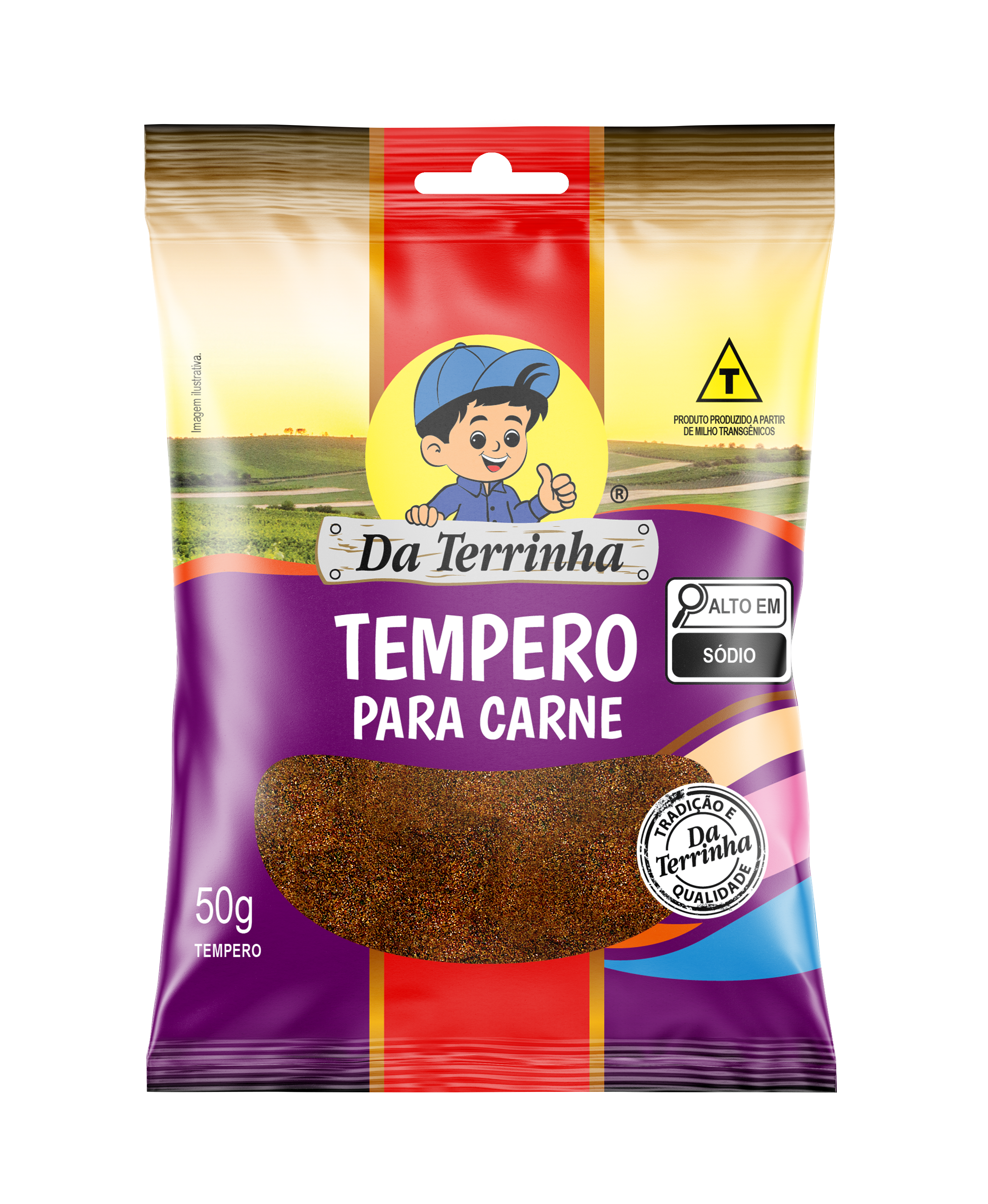 Tempero Para Carne Da Terrinha 50 G - Cx 24