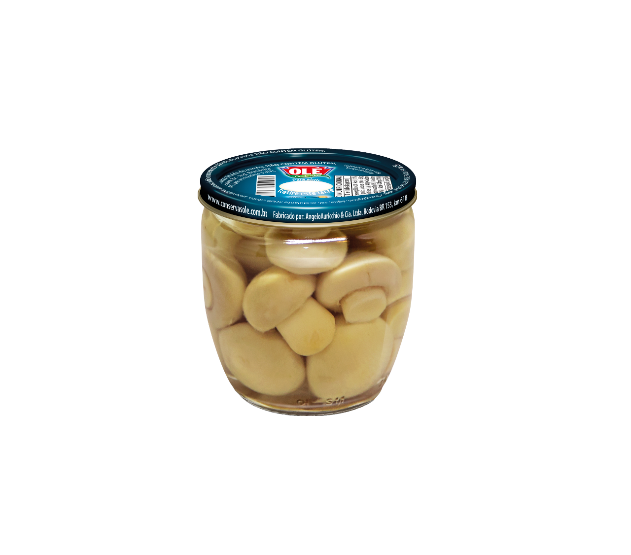 CHAMPIÑONES EN FRASCO DE VIDRIO OLÉ 100G CAJA CON 24 UNIDADES