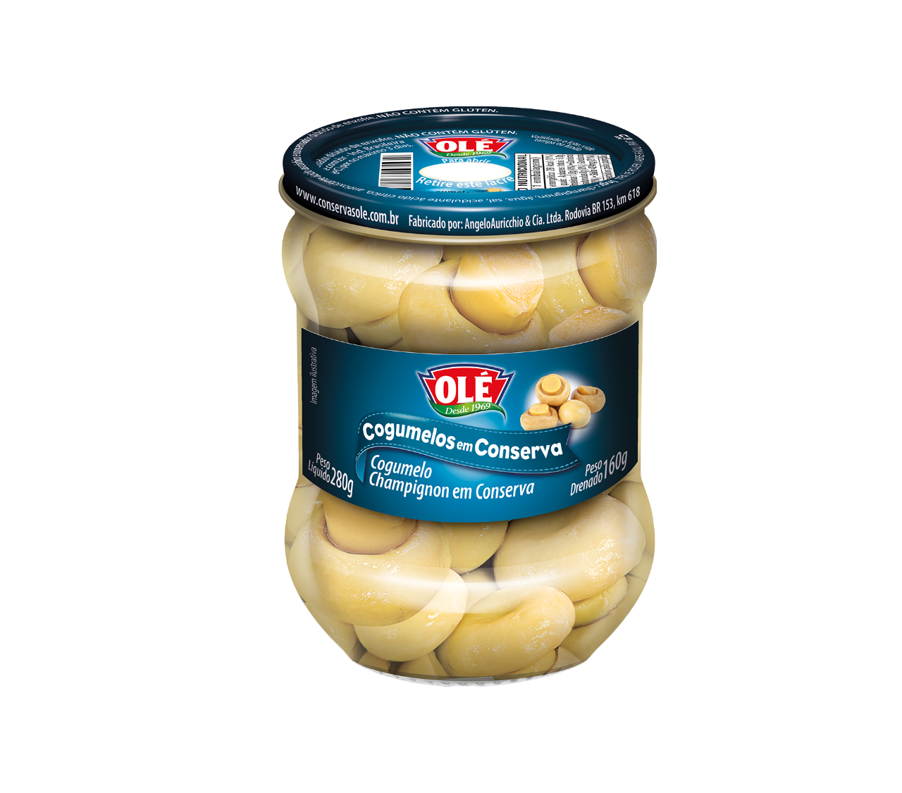 CHAMPIÑONES EN FRASCO DE VIDRIO OLÉ 160G CAJA CON 24 UNIDADES